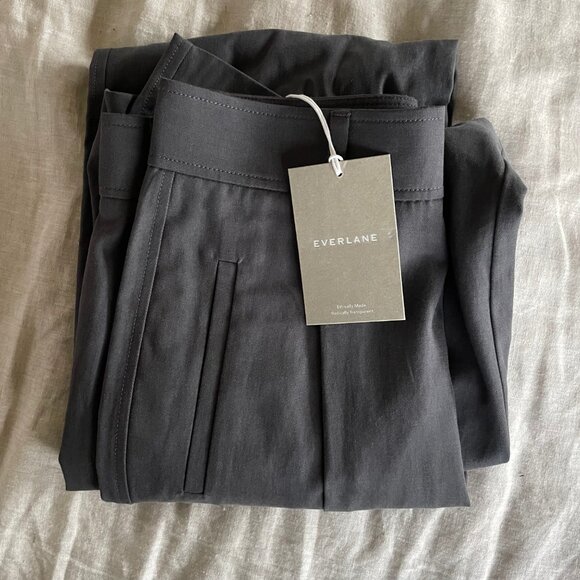 NWT Everlane The Draper Pleated Pant in Buttersmooth Slate Grey - Size 2 - Picture 2 of 2